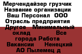 Мерчендайзер-грузчик › Название организации ­ Ваш Персонал, ООО › Отрасль предприятия ­ Другое › Минимальный оклад ­ 40 000 - Все города Работа » Вакансии   . Ненецкий АО,Пылемец д.